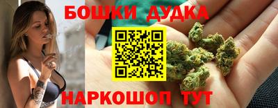 гидра Изобильный