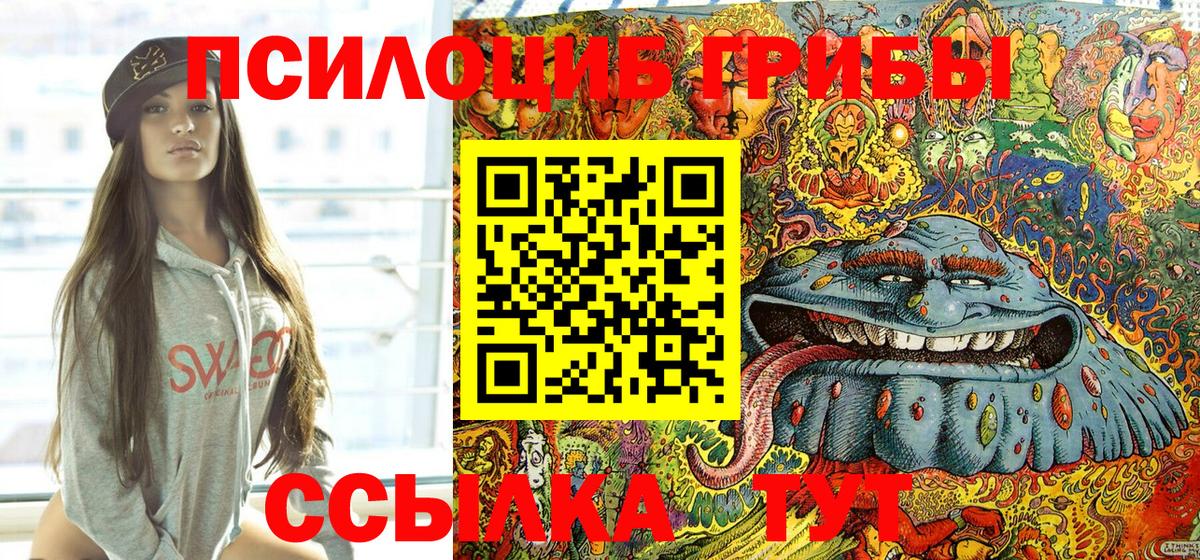 Галлюциногенные грибы Cubensis  Вход с VPN  Псилоцибиновые грибы прущие грибы  Донской 